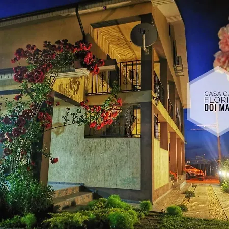 Casa Cu Flori ゲストハウス