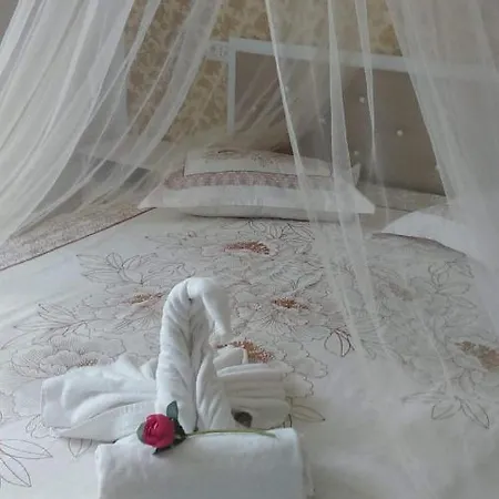 ゲストハウス Casa Cu Flori 3*