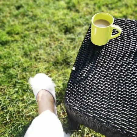 ゲストハウス Casa Cu Flori ドウア・マ