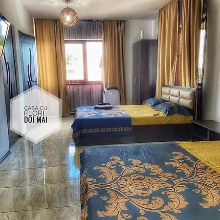 ゲストハウス Casa Cu Flori 3*
