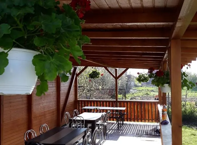 Casa Cu Flori Două Mai