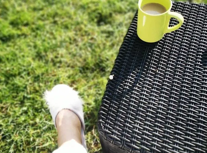 Gæstehus Casa Cu Flori Două Mai