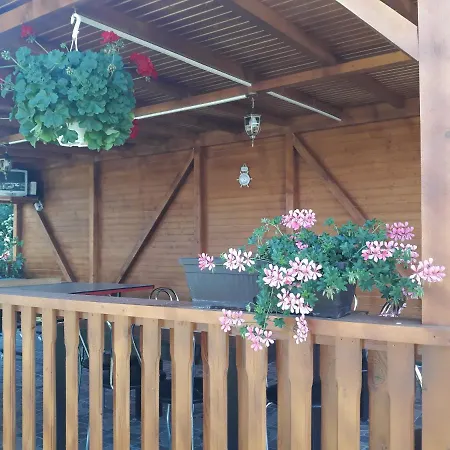 Guest house Casa Cu Flori 3*