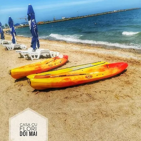 Guest house Casa Cu Flori